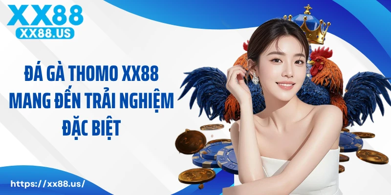 Đá gà Thomo XX88 mang đến trải nghiệm đặc biệt
